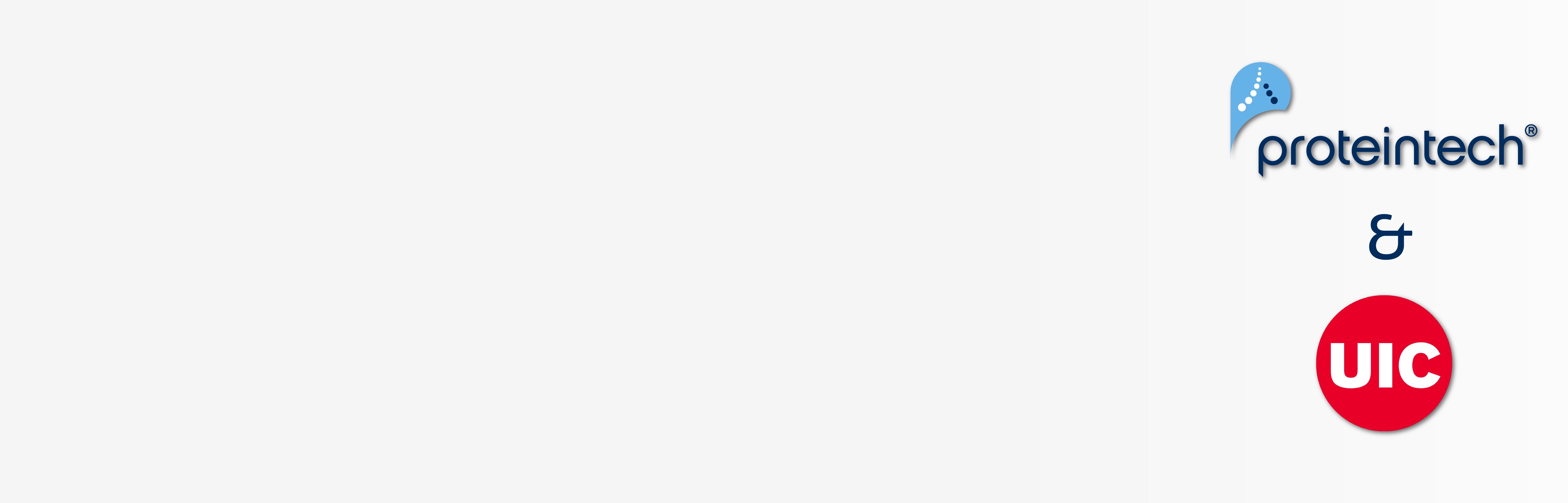 Worksho Series Banner