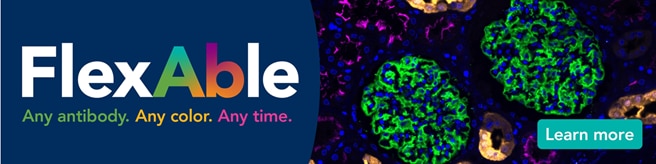 flexable. antibody labeling, fluorescence, flow cytometry, immunofluorescence