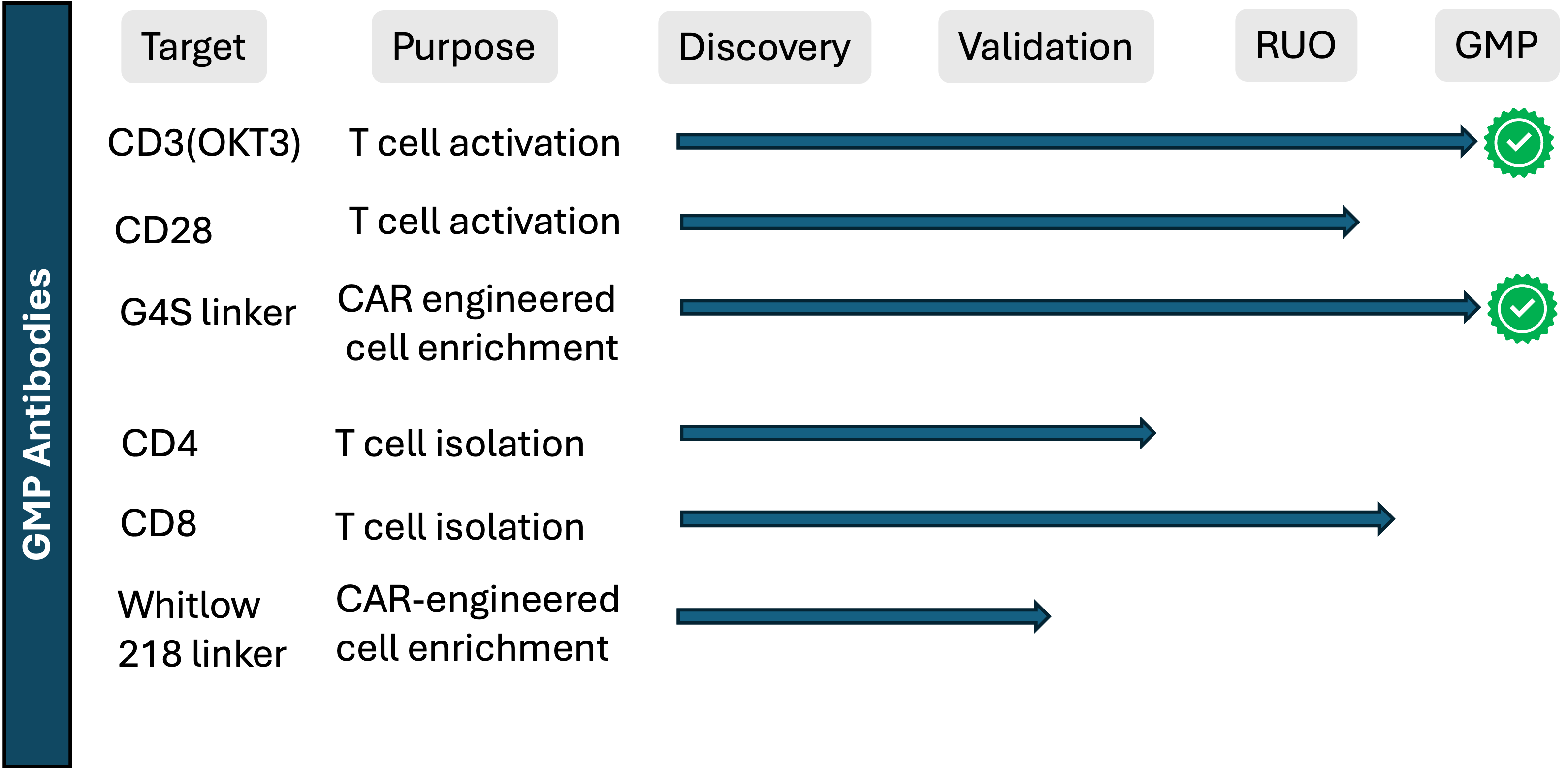 Diagram of the GMP antibodies production pipeline showing stages from cell line development to final product release, including upstream and downstream processing, purification, formulation, and quality control checkpoints
