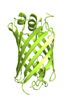 mNeonGreen structure