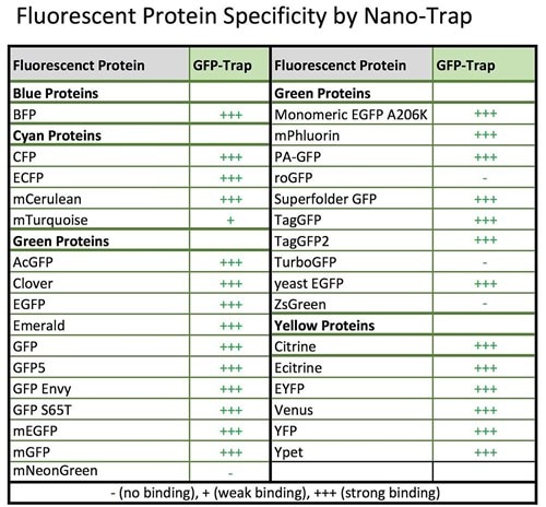 FP Specificity by GFP-Trap.jpg