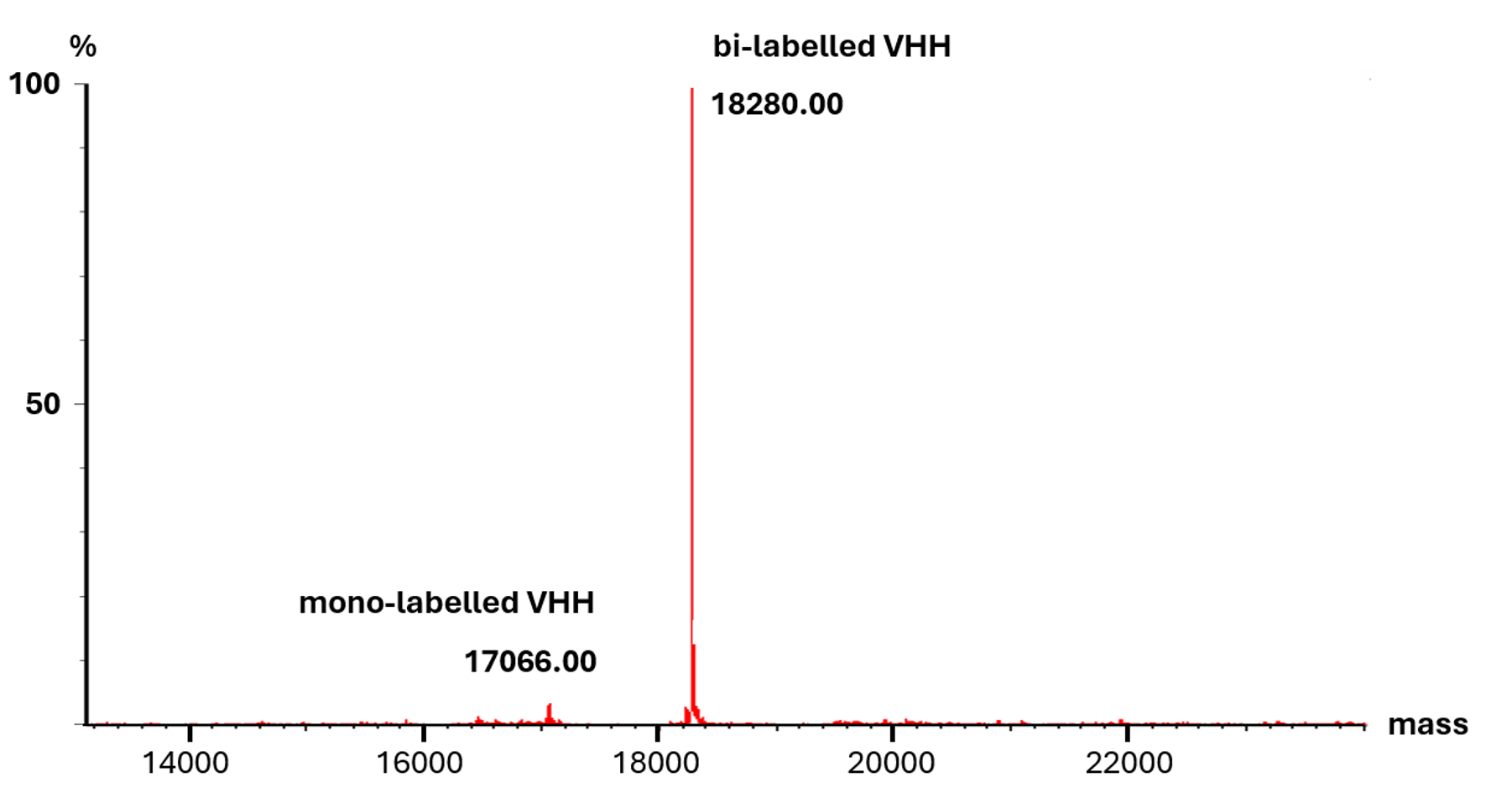 IF analysis of HeLa cells co-stained with mouse IgG2b anti-tubulin beta antibody and mouse IgG1 CD147 antibody followed by Nano-Secondary® alpaca anti-mouse IgG2b, recombinant VHH, CoraLite® Plus 488 (smsG2bCL488-1, green) and Nano-Secondary® alpaca anti-mouse IgG1, recombinant VHH, CoraLite® Plus 647 (smsG1CL647-1, magenta). Nuclei were stained with DAPI (blue).