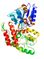 mbp-tag structure