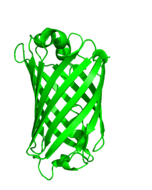 turboGFP structure