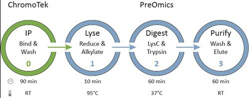 IP Kit_Procedure_circles-1.jpg