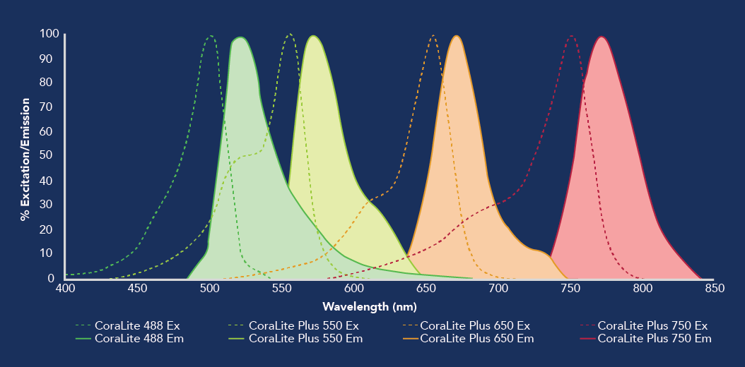 Proteintech's CoraLite Plus excitation and emission