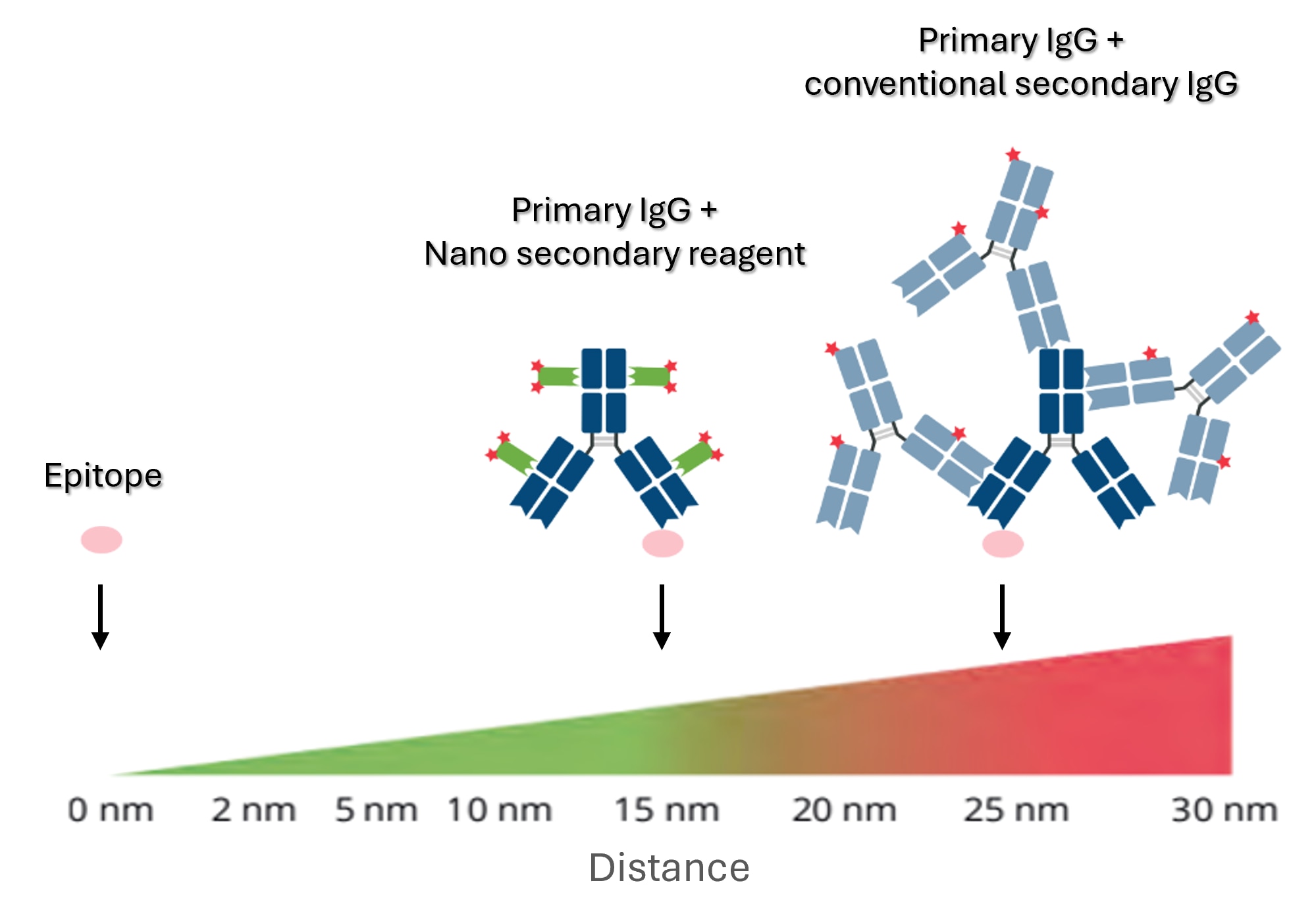 epitope label displacement