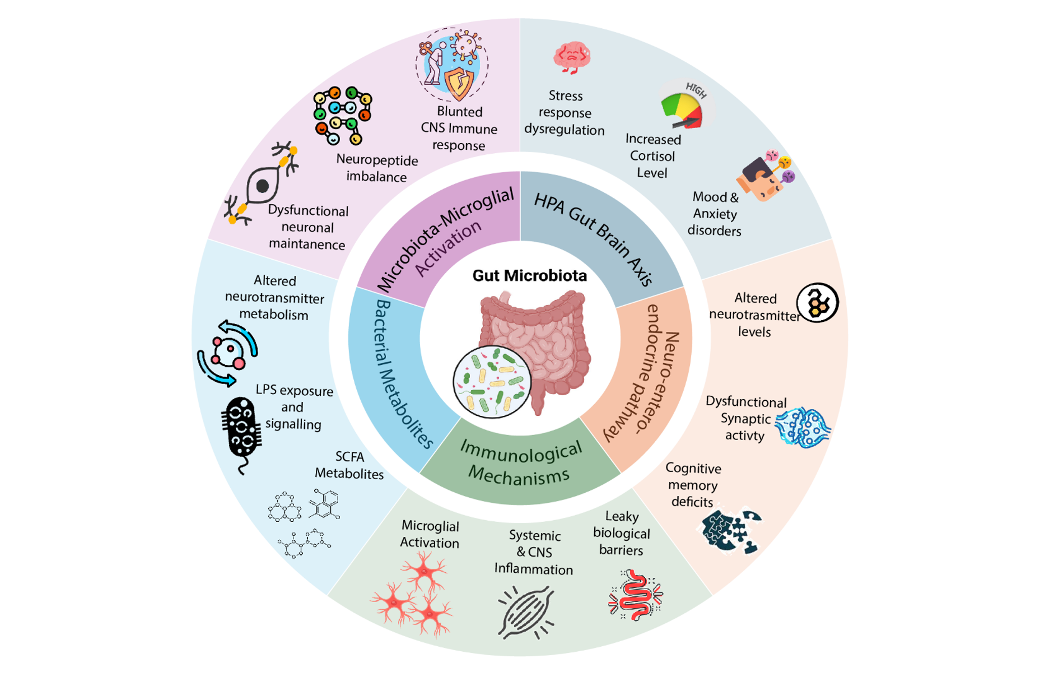 The Gut Microbiome and Depression: Current Insights and Future ...