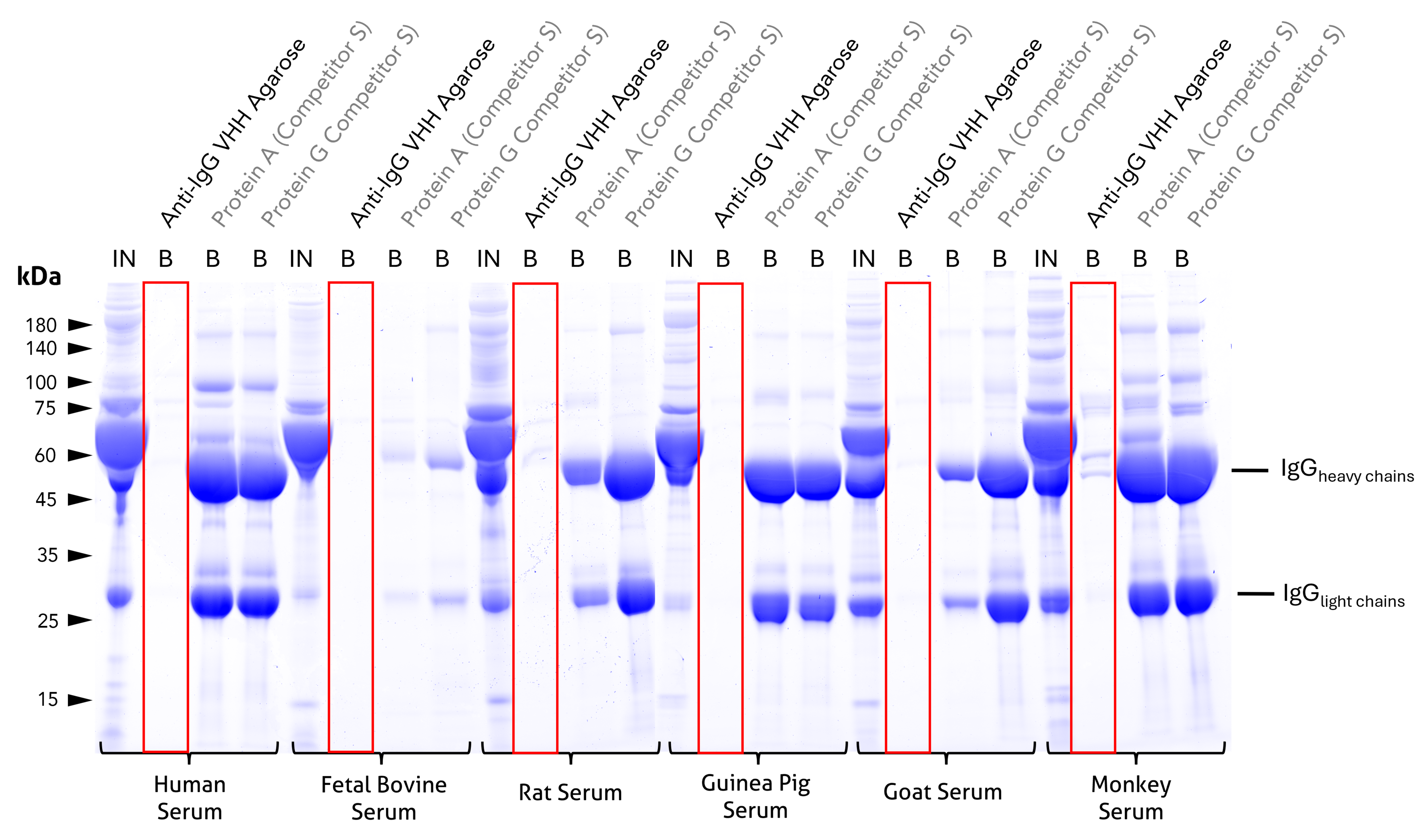 species specificity table