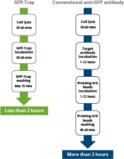 workflow comparison