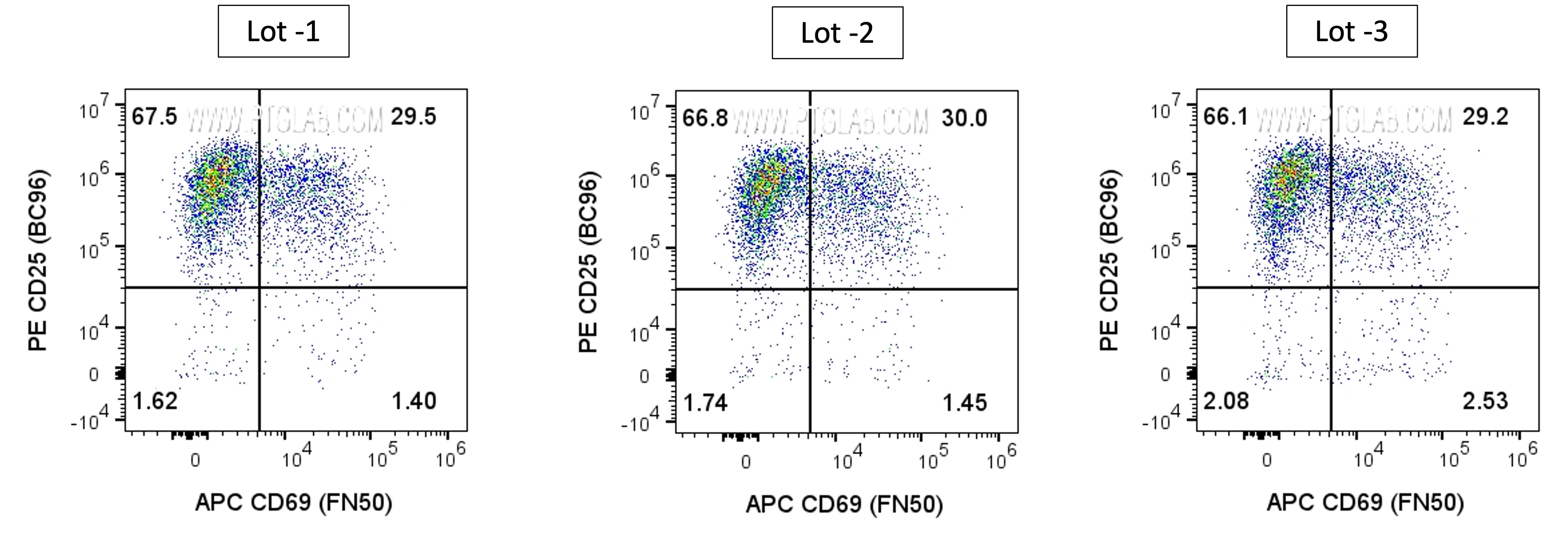 Graph comparing lot-to-lot consistency for GMP antibodies from Proteintech, showing overlaid performance curves across multiple batches