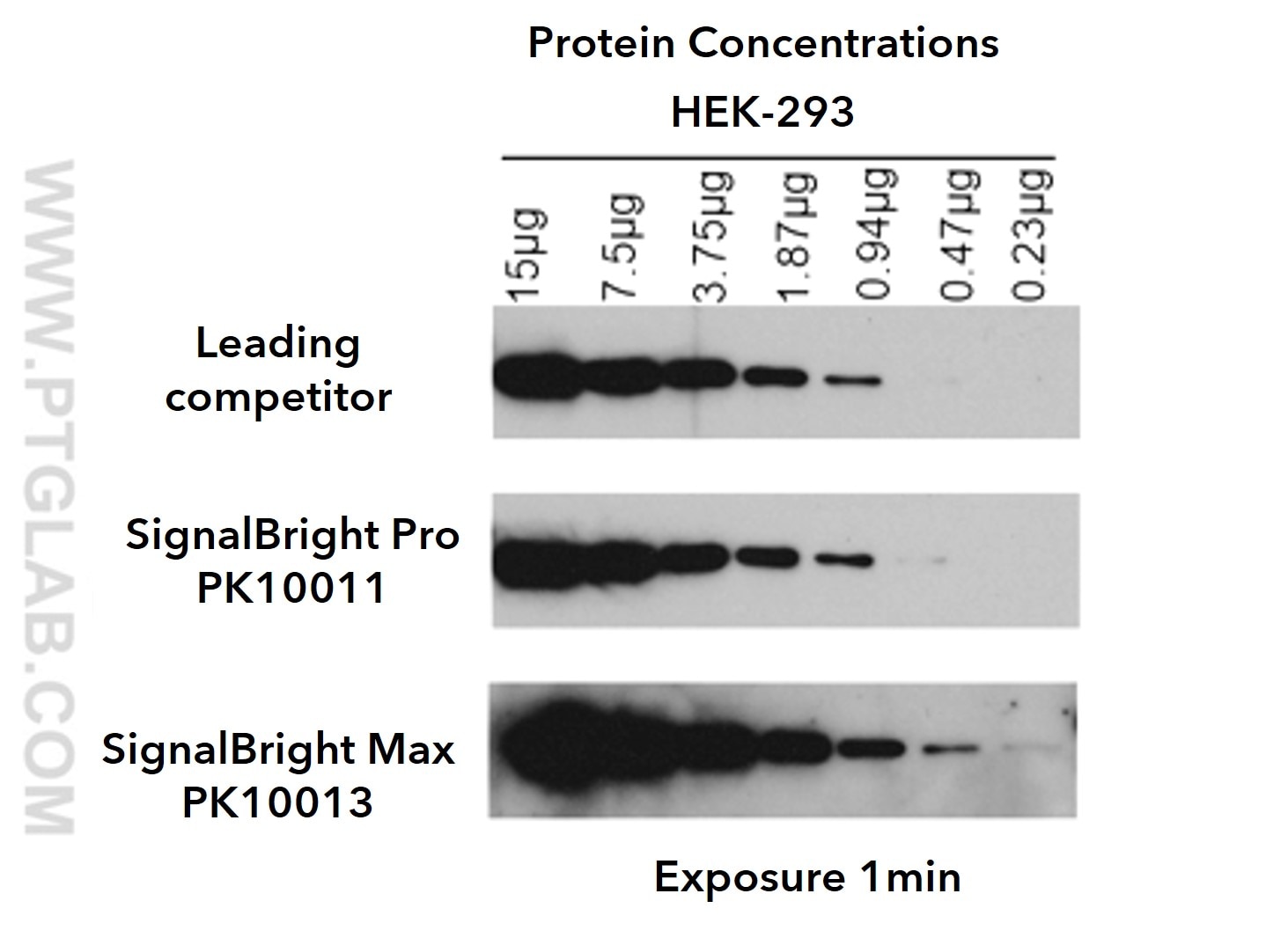signalbright protein concentrations