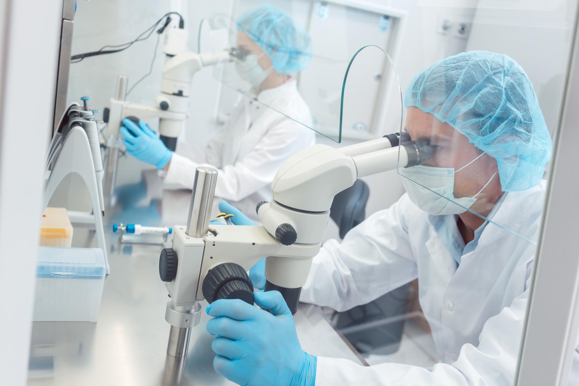 Two laboratory technicians in protective clothing use stereo microscopes in a clean GMP facility, working behind glass partitions with laboratory equipment visible
