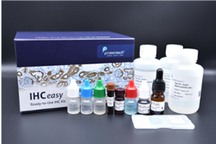 IHCeasy kit by proteintech
