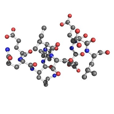 myc peptide