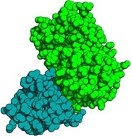 GFP GBP complex