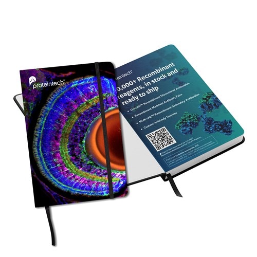 SciArt Notebook