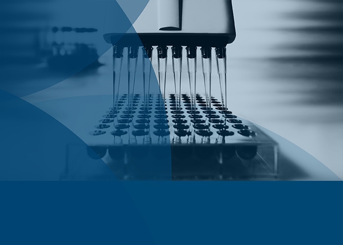 Comparing BCA, Bradford, and UV protein quantification methods for scientists Proteintech Group