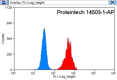 Flow cytometry (FC) experiment of HeLa cells using 14-3-3 Polyclonal antibody (14503-1-AP)