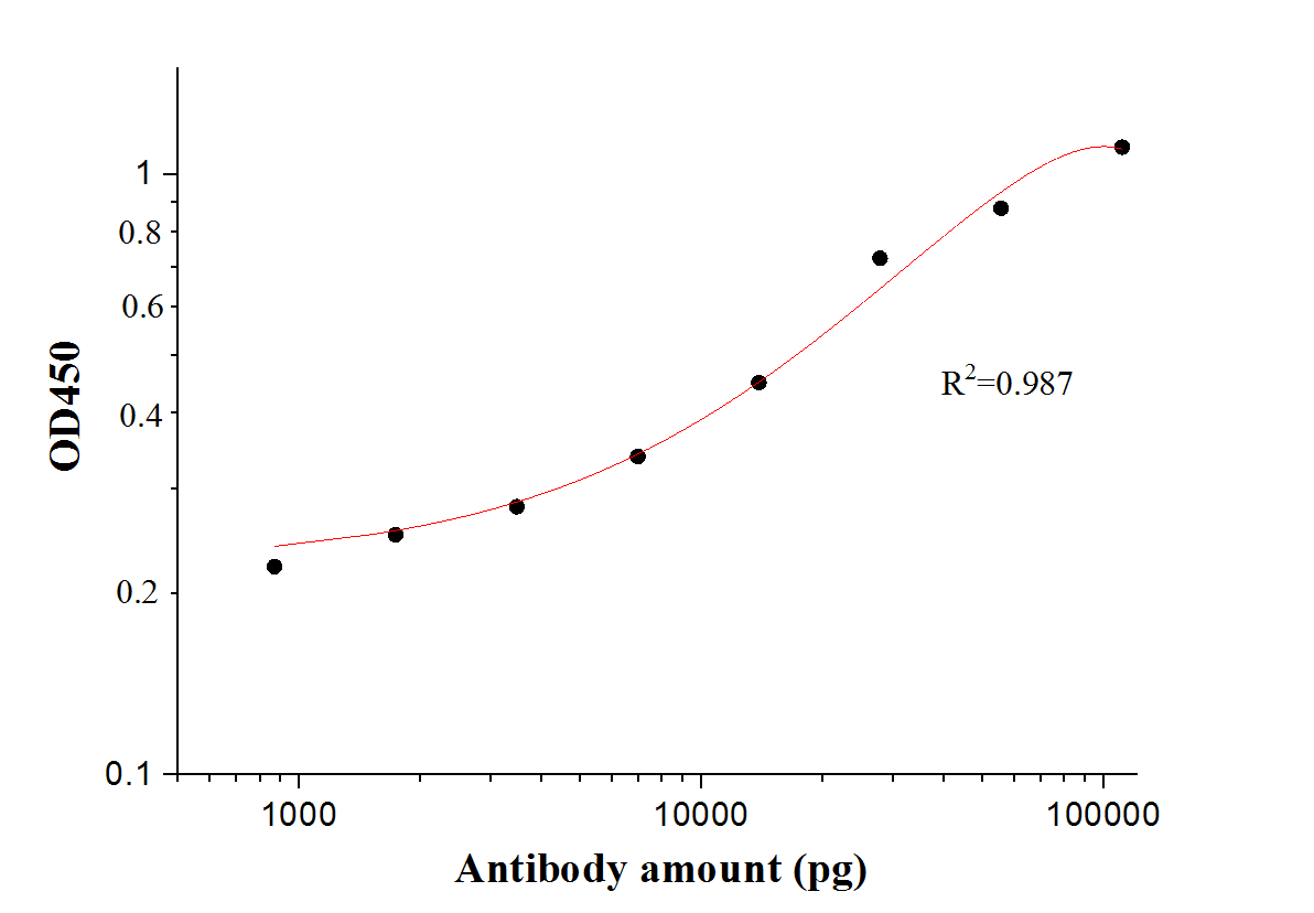 ELISA experiment of Recombinant protein using 28904-1-AP