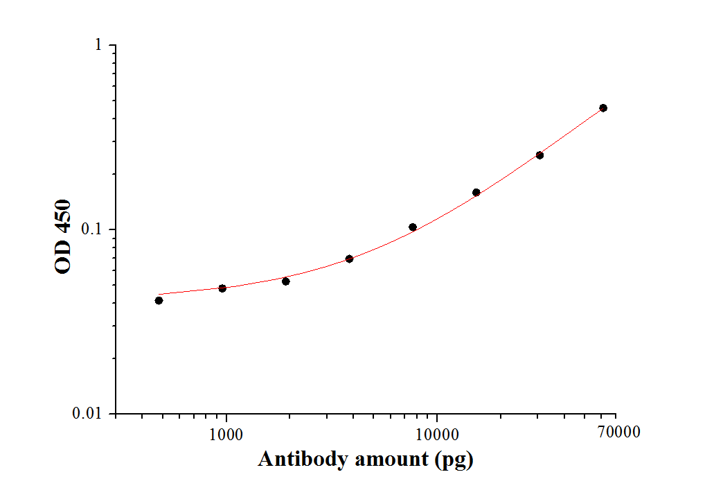 SARS-CoV-2 Membrane Glycoprotein