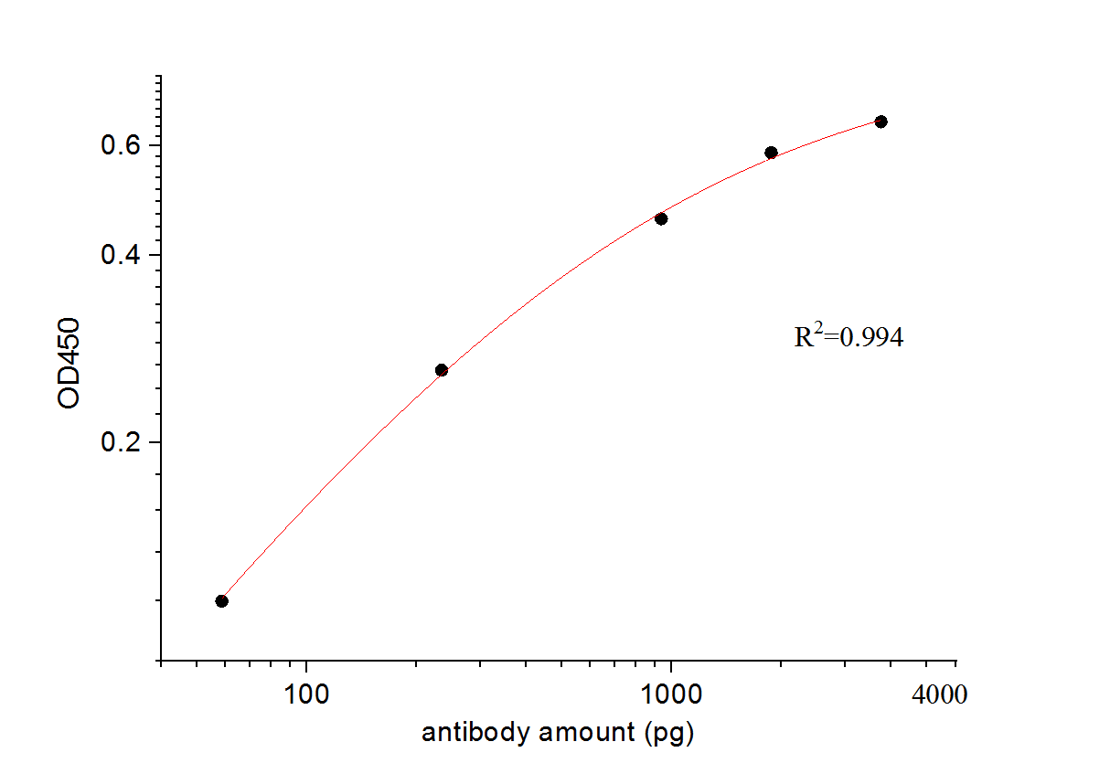 ELISA experiment of Recombinant protein using 28769-1-AP