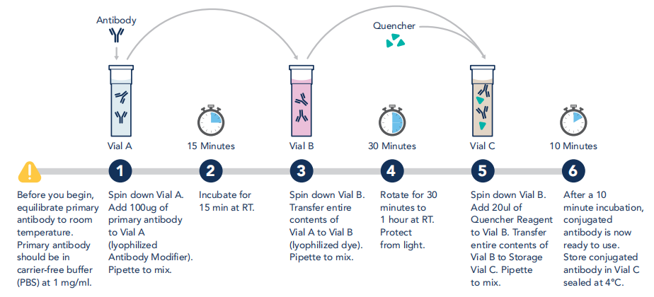 Graphical protocol-ChemBright Antibody Conjugation Kit