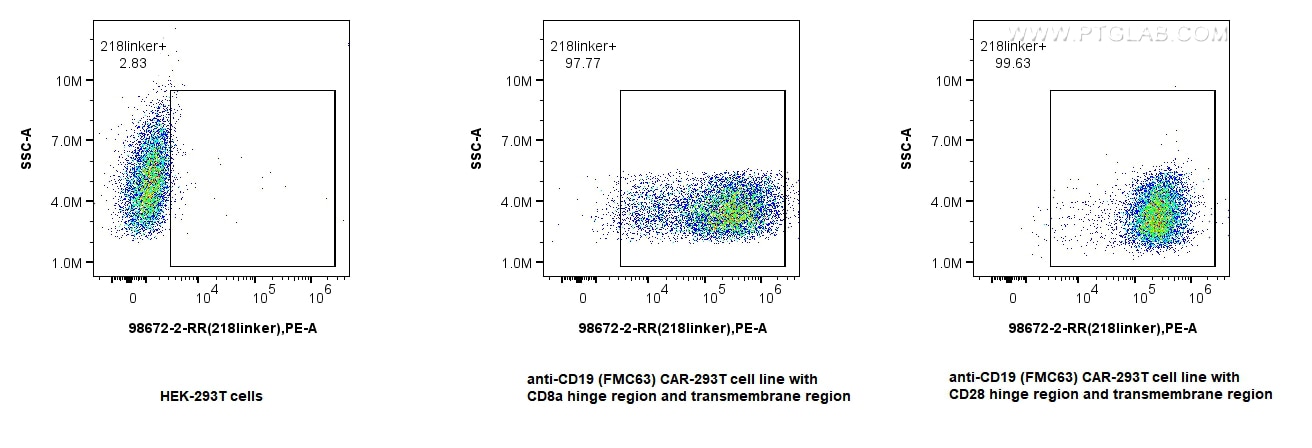 Flow cytometry (FC) experiment of Transfected HEK-293T cells using Anti-Whitlow/218 Linker Rabbit Recombinant Antibod (98672-2-RR)