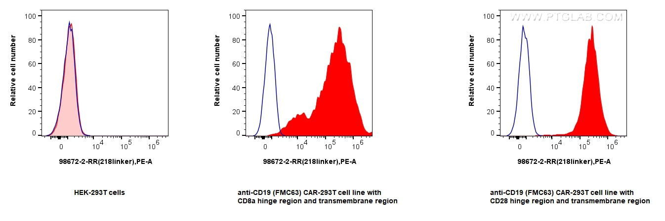 Flow cytometry (FC) experiment of Transfected HEK-293T cells using Anti-Whitlow/218 Linker Rabbit Recombinant Antibod (98672-2-RR)