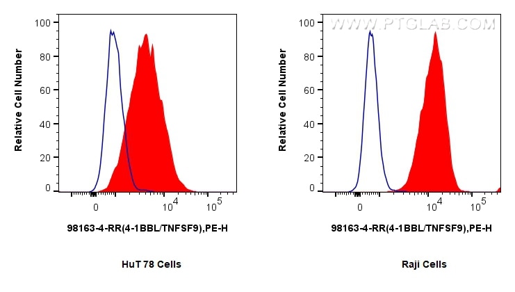 FC experiment of HuT 78 using 98163-4-RR (same clone as 98163-4-PBS) Flow cytometry (FC) experiment of HuT 78 cells using Anti-Human 4-1BBL/TNFSF9 Rabbit Recombinant Antibo (98163-4-RR)