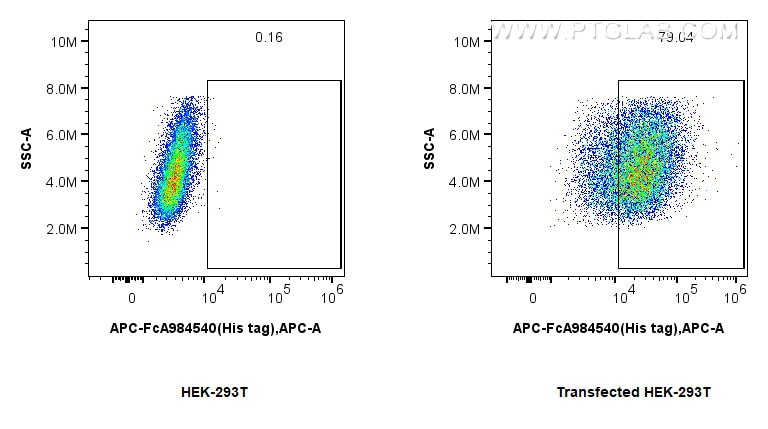 FC experiment of Transfected HEK-293 using APC-FcA98450 Flow cytometry (FC) experiment of Transfected HEK-293 cells using FcZero-rAb™ APC Anti-6*His, His-Tag Rabbit Recombi (APC-FcA98450)