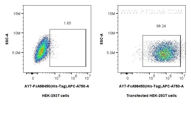FC experiment of Transfected HEK-293T using AY7-FcA98450 Flow cytometry (FC) experiment of Transfected HEK-293T cells using FcZero-rAb® APC-Cyanine7 Anti-6*His, His-Tag Rabbi (AY7-FcA98450)