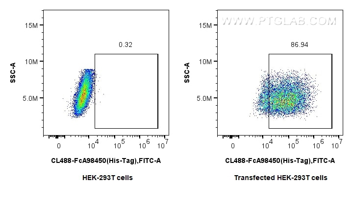 FC experiment of Transfected HEK-293T using CL488-FcA98450 Flow cytometry (FC) experiment of Transfected HEK-293T cells using FcZero-rAb® CoraLite® Plus 488 Anti-6*His, His-Tag (CL488-FcA98450)