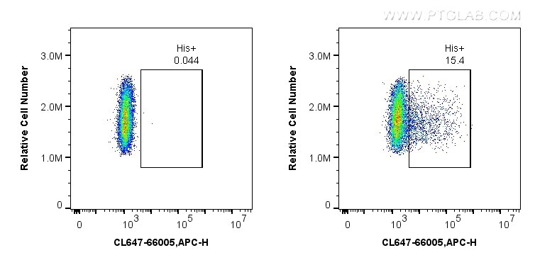 Flow cytometry (FC) experiment of Transfected HEK-293 cells using CoraLite® Plus 647-conjugated 6*His, His-Tag Monoc (CL647-66005)