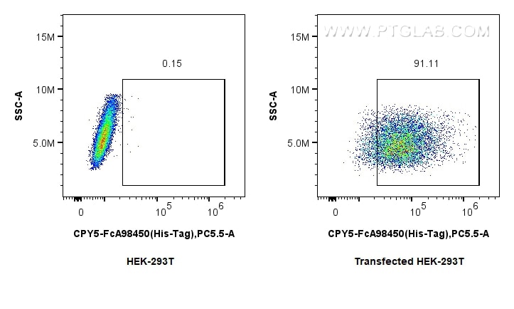 FC experiment of Transfected HEK-293T using CPY5-FcA98450 Flow cytometry (FC) experiment of Transfected HEK-293T cells using FcZero-rAb® PerCP-Cyanine5.5 Anti-6*His, His-Tag R (CPY5-FcA98450)