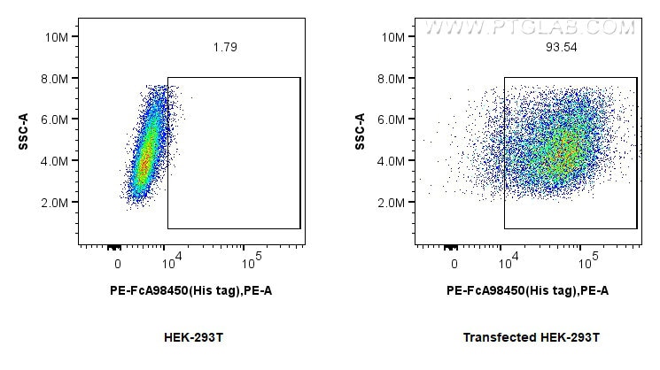 FC experiment of Transfected HEK-293 using PE-FcA98450 Flow cytometry (FC) experiment of Transfected HEK-293 cells using FcZero-rAb™ PE Anti-6*His, His-Tag Rabbit Recombin (PE-FcA98450)