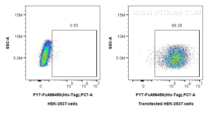 FC experiment of Transfected HEK-293T using PY7-FcA98450 Flow cytometry (FC) experiment of Transfected HEK-293T cells using FcZero-rAb® PE-Cyanine7 Anti-6*His, His-Tag Rabbit (PY7-FcA98450)