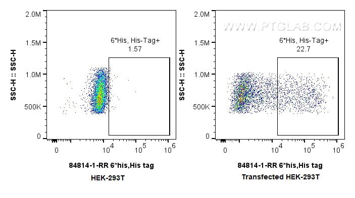 Flow cytometry (FC) experiment of Transfected HEK-293T cells using 6*his,His tag Recombinant antibody (84814-1-RR)
