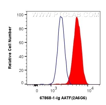 Flow cytometry (FC) experiment of HeLa cells using AATF Monoclonal antibody (67868-1-Ig)
