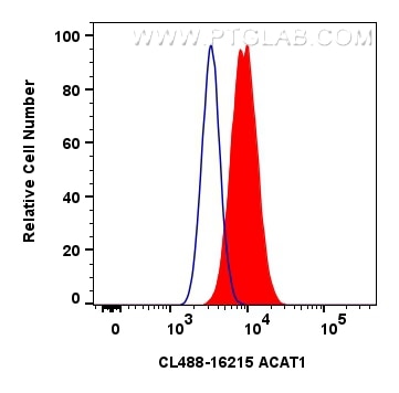 Flow cytometry (FC) experiment of HeLa cells using CoraLite® Plus 488-conjugated ACAT1 Polyclonal ant (CL488-16215)