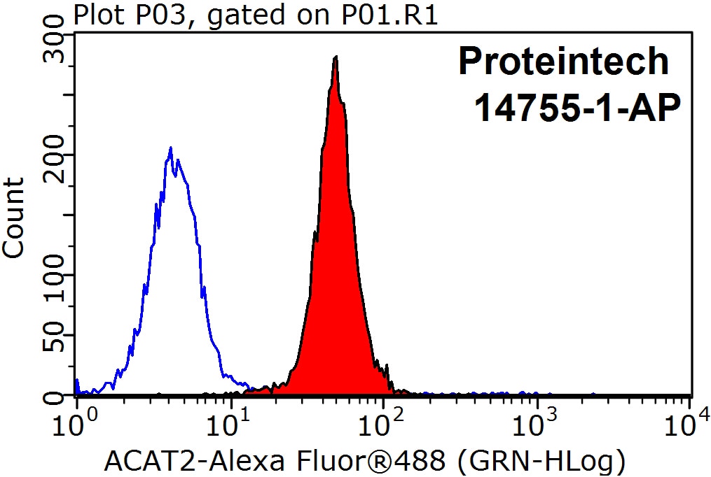 Flow cytometry (FC) experiment of HepG2 cells using ACAT2 Polyclonal antibody (14755-1-AP)