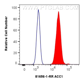 Flow cytometry (FC) experiment of HeLa cells using ACC1 Recombinant monoclonal antibody (81656-1-RR)