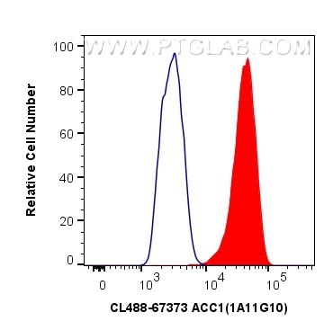 Flow cytometry (FC) experiment of HeLa cells using CoraLite® Plus 488-conjugated ACC Monoclonal antib (CL488-67373)