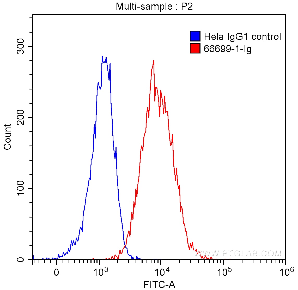 Flow cytometry (FC) experiment of HeLa cells using ACE2 Monoclonal antibody (66699-1-Ig)
