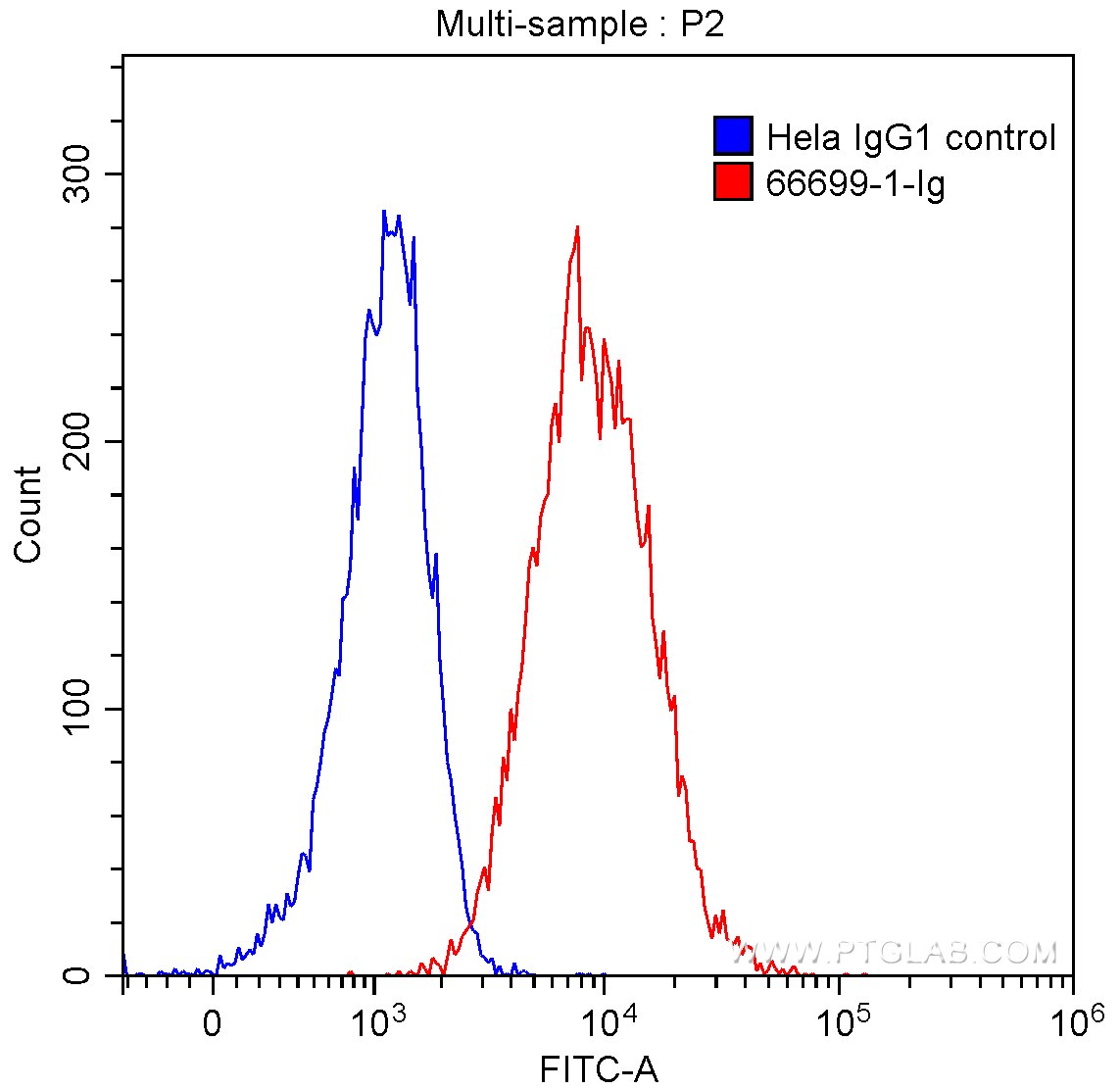 FC experiment of HeLa using 66699-1-Ig