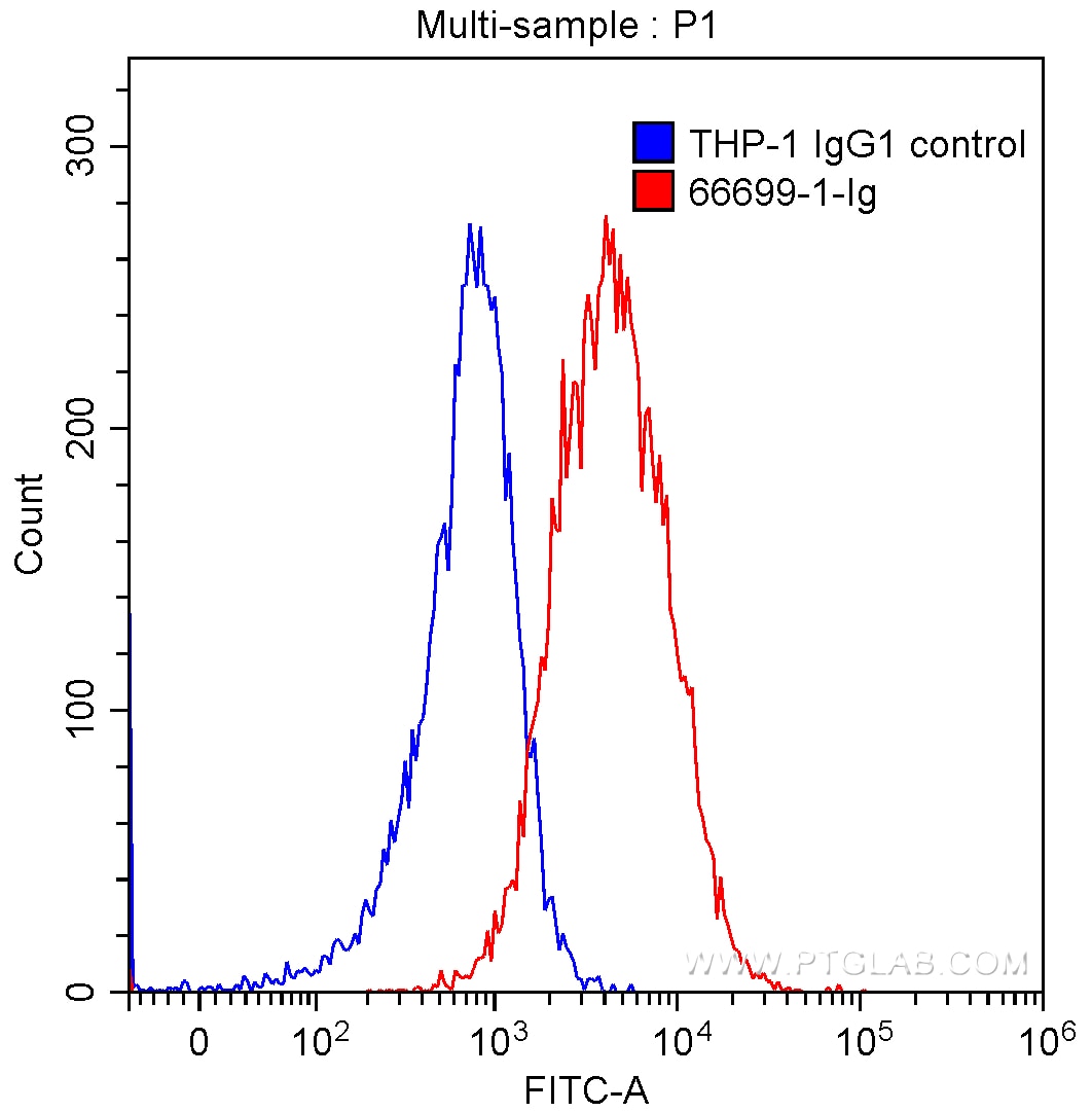 Flow cytometry (FC) experiment of THP-1 cells using ACE2 Monoclonal antibody (66699-1-Ig)