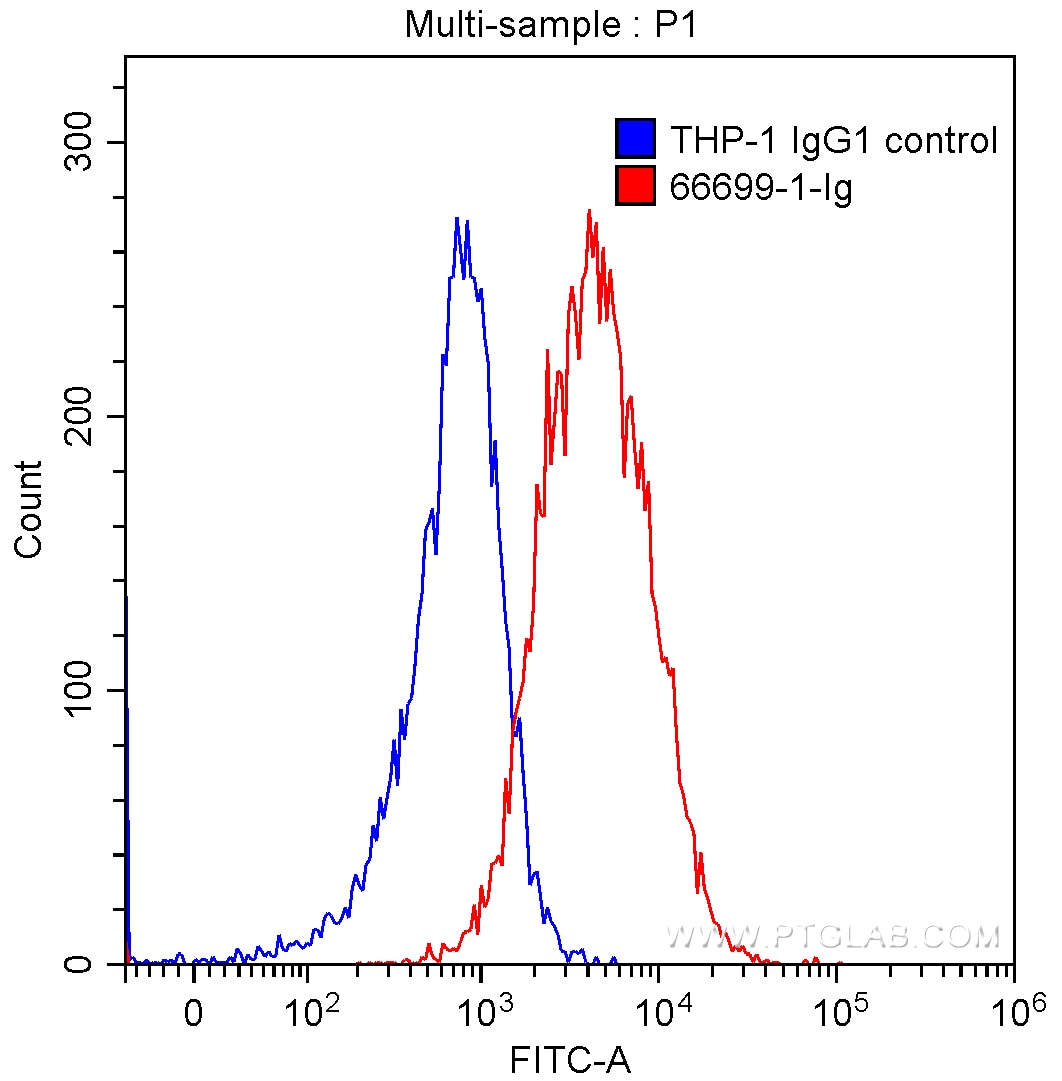 FC experiment of THP-1 using 66699-1-Ig