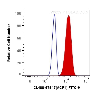 Flow cytometry (FC) experiment of HeLa cells using CoraLite® Plus 488-conjugated ACF1 Monoclonal anti (CL488-67947)