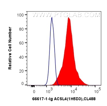 ACSL4/FACL4