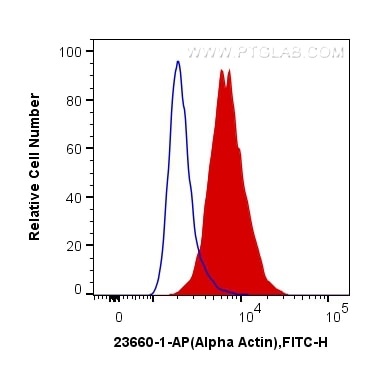 FC experiment of C2C12 using 23660-1-AP